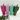 RTG - 40oz Flip Top Straw Dupe - Lilac - Cheerleading